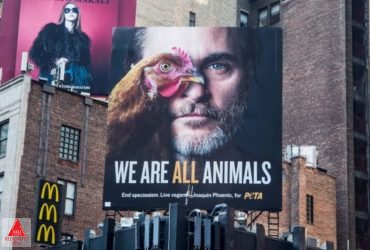 «واکین فینیکس» مهم‌ترین حامی حقوق حیوانات در سال 2019 شد
