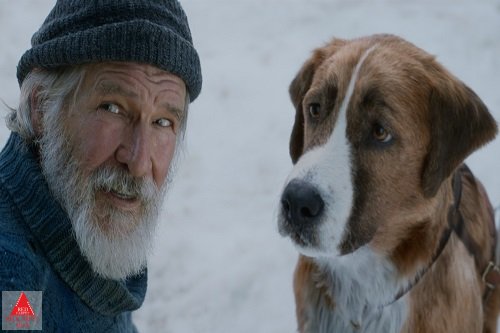 سونیک خارپشت