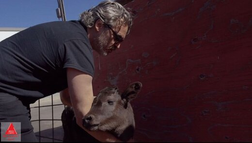 واکین فونیکس