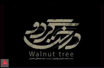 جشنواره فیلم فجر