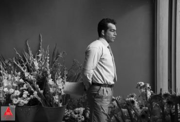 بهرام توکلی