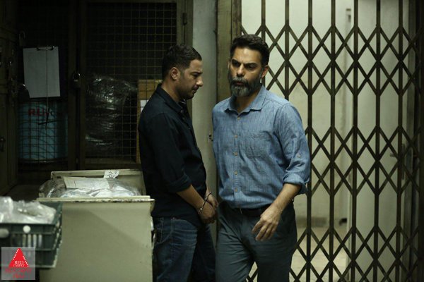 سعید روستایی