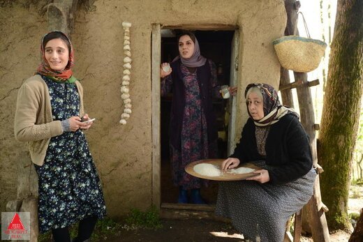 محمدعلی طالبی