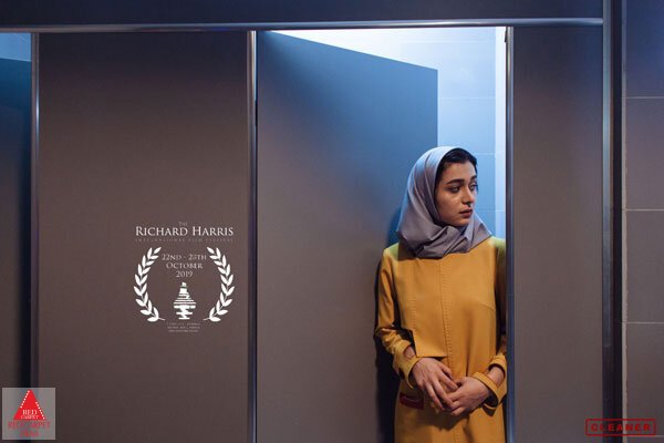 محمدرضا میقانی