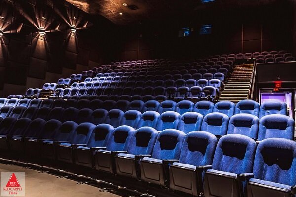 شورای صنفی نمایش