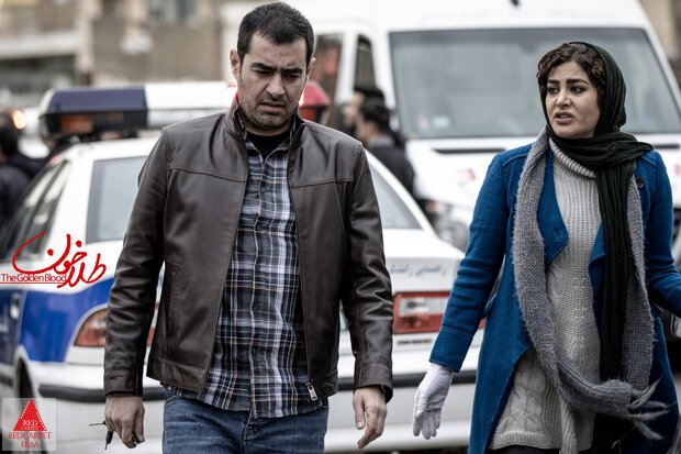 ابراهیم شیبانی