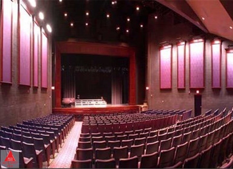 سازمان سینمایی