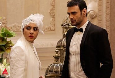 مهدی فرد قادری