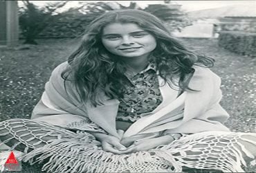سندباد و چشم ببر