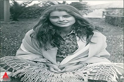سندباد و چشم ببر