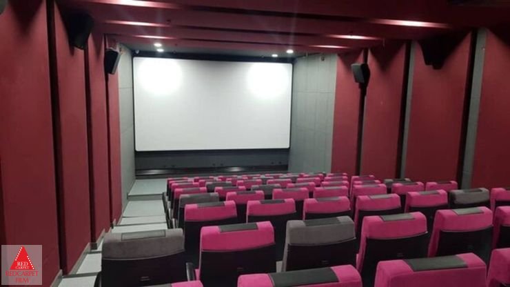 سازمان سینمایی