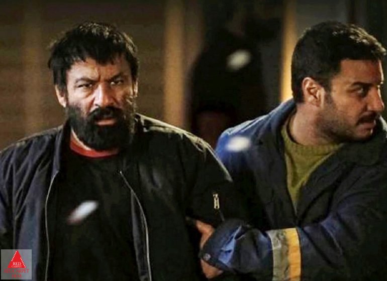 بازگشایی سینماهای