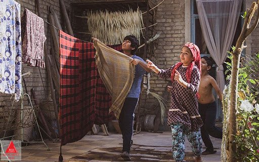 محمدرضا مصباح