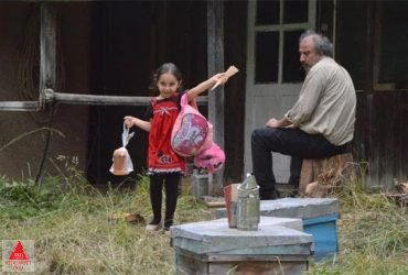 جشنواره اشلینگل