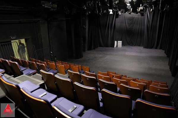 شادی اسدپور