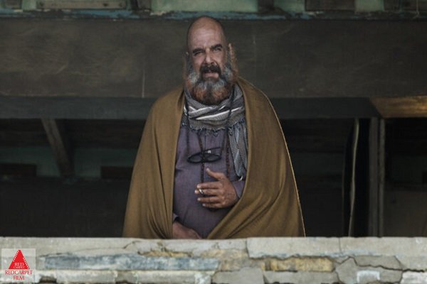 هومن برقنورد