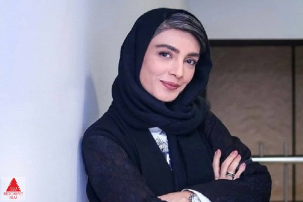 لاکپشت و حلزون