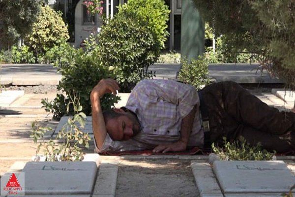 جشنواره فجر