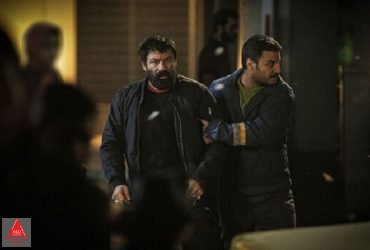 شنای پروانه