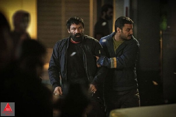 شنای پروانه