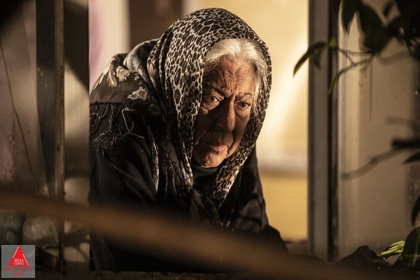 محمد حسام حدادیان