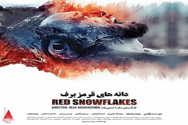 رضا حسنزاده