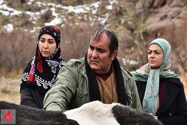 شقایق فتاحی