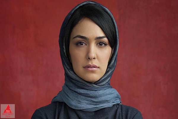 ارباب حلقهها