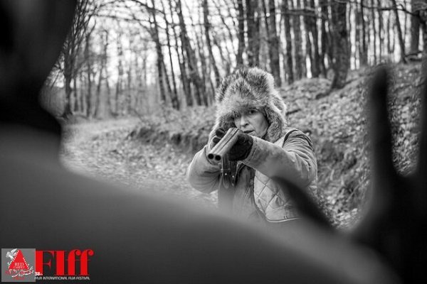 جشنواره جهانی فیلم فجر