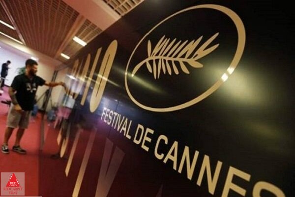 سینهفونداسیون