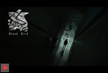 پرنده سیاه