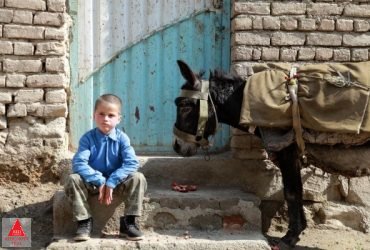 جشنواره فیلم ملبورن