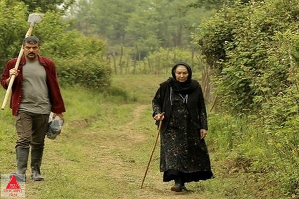 در کنار پروانه ها