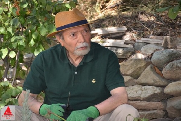 فیلمبرداری