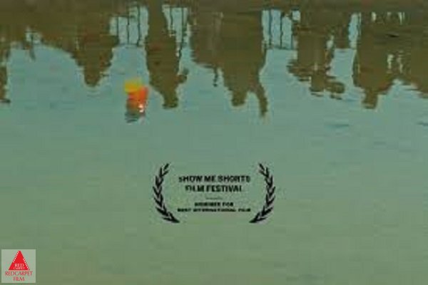 جشنواره نیوزیلند