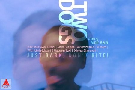 نوید محمدزاده