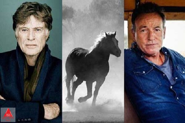 بروس اسپرینگستین