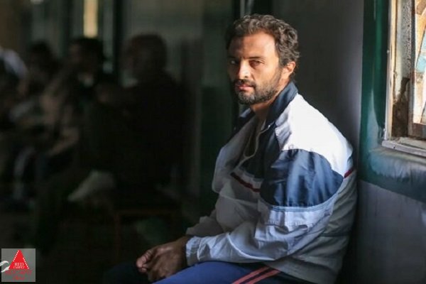 جشنواه فیلم تلوراید