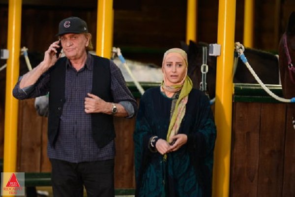 مریم امیرجلالی