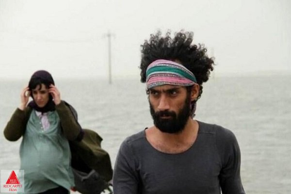 نمایش