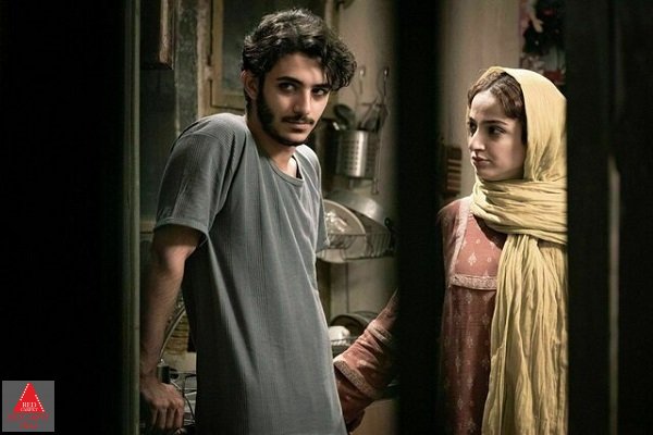 نوید محمودی