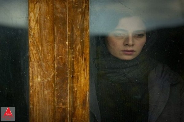 بهروز شعیبی