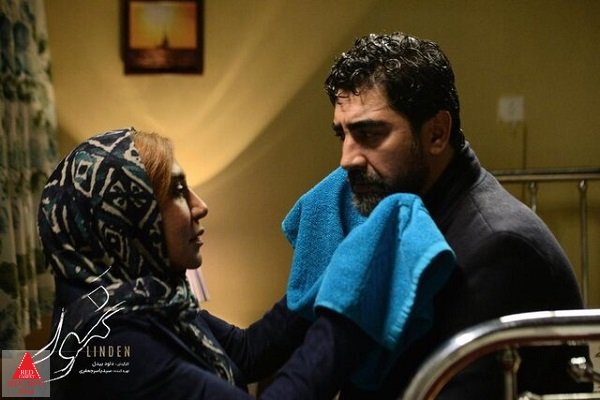 جشنواره فیلم فجر