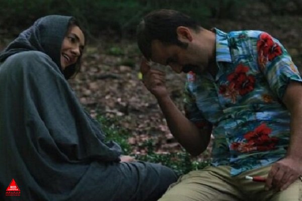 هانیه توسلی