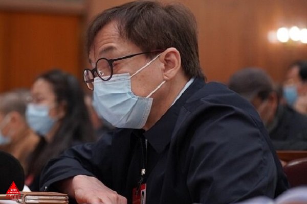 سینماهای دولتی