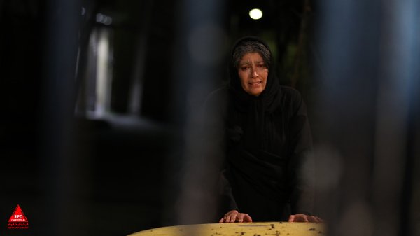 تصویربرداری