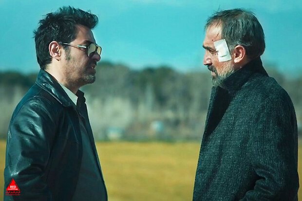 نمایش خانگی