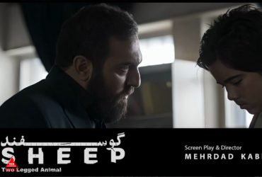 فیلم کوتاه «گوسفند»