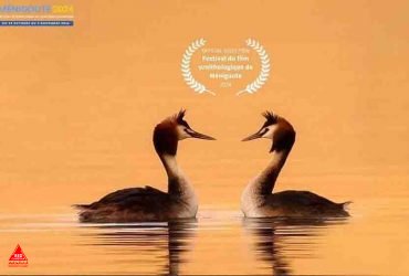 مستند «کشیم عاشق»