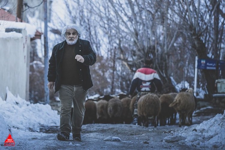 «چشم بادومی»